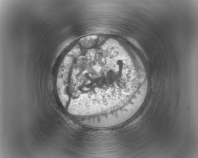 X0000063511067200602172140