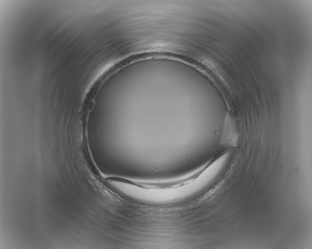 X0000063511069200602172140