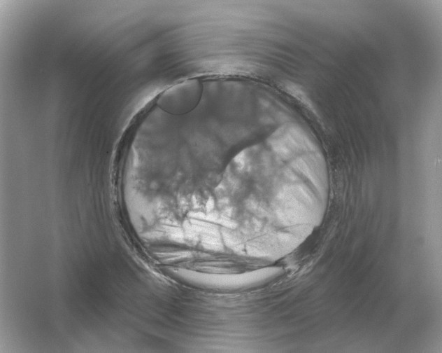 X0000063511071200602172140