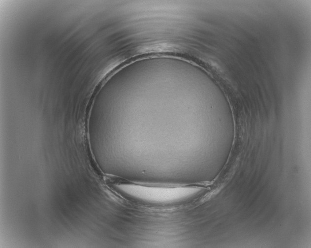 X0000063511073200602172140