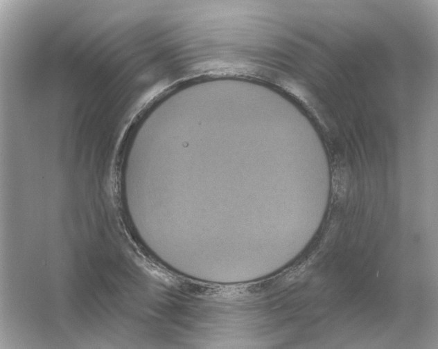 X0000063511074200602172140