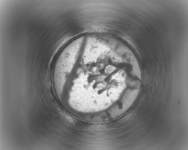 X0000063511075200602172140