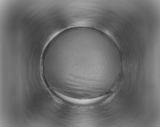 X0000063511077200602172139