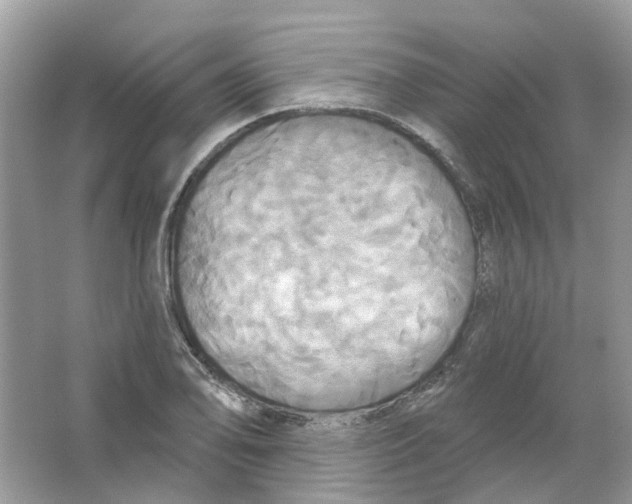 X0000063511078200602172139