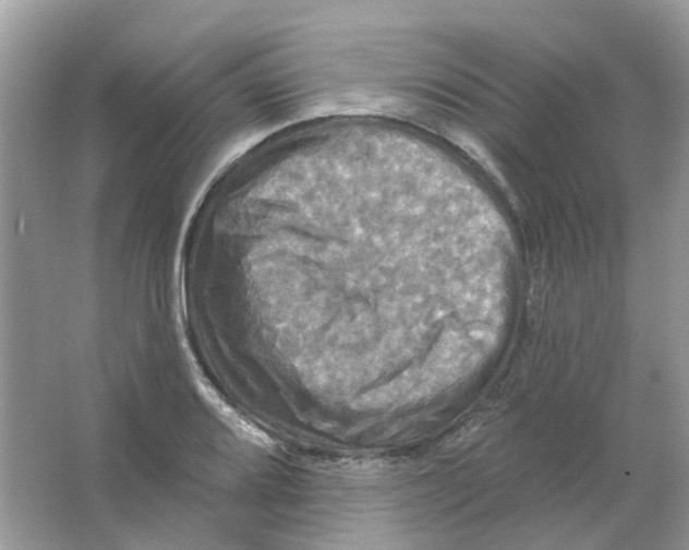 X0000063511080200602172139