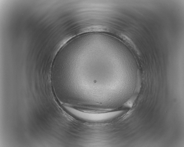 X0000063511081200602172139