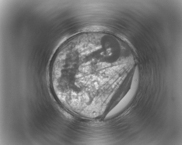 X0000063511083200602172139