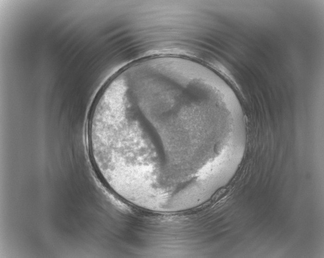 X0000063511084200602172139