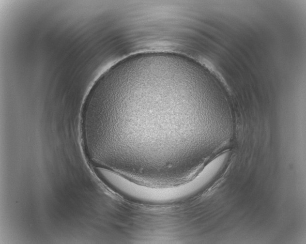 X0000063511085200602172139