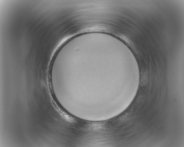 X0000063511086200602172139