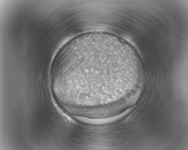 X0000063511088200602172139