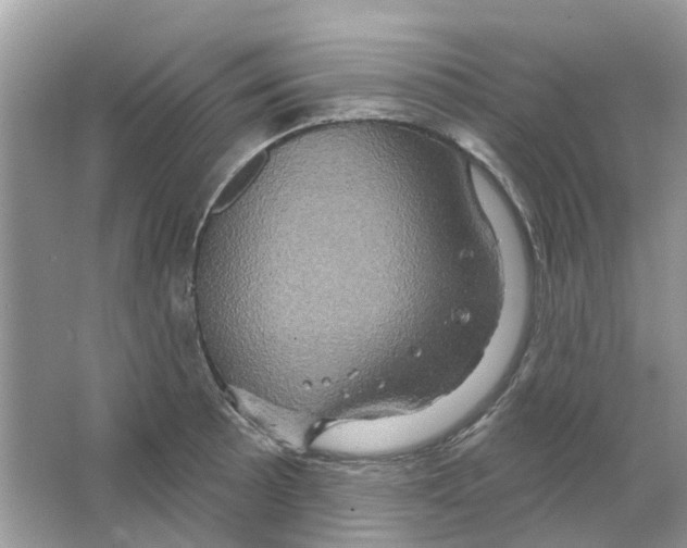 X0000063511089200602172139