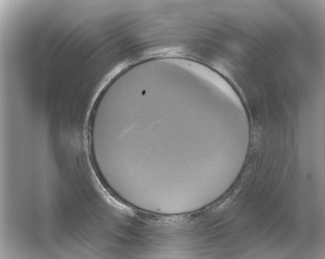 X0000063511090200602172139