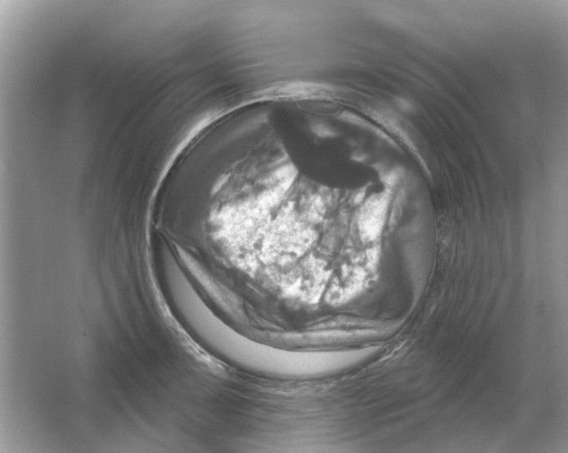 X0000063511091200602172139