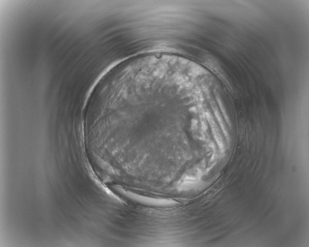 X0000063511092200602172139