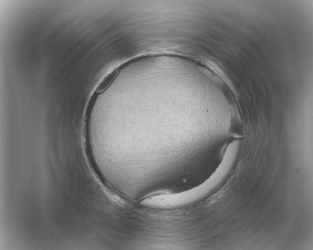 X0000063511093200602172139