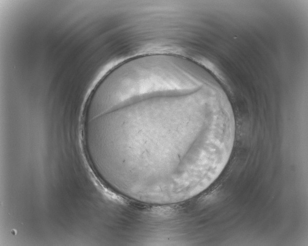 X0000063511094200602172139