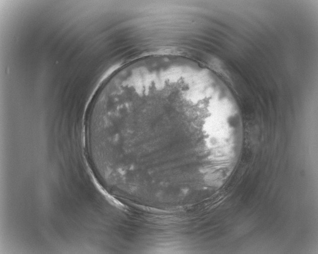 X0000063511095200602172139