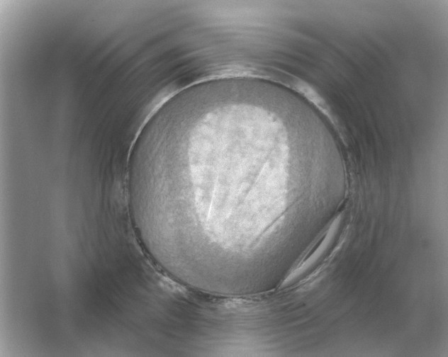 X0000063511097200602172139