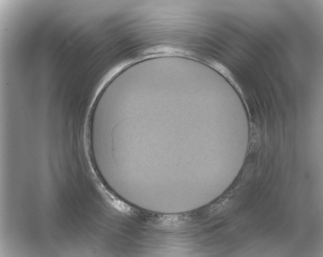 X0000063511098200602172139