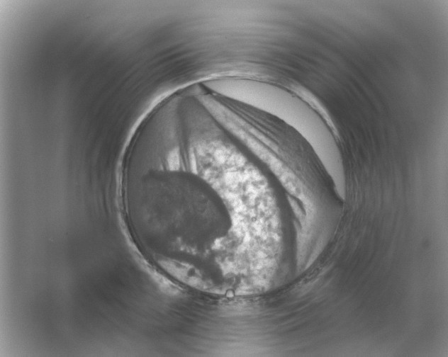 X0000063511099200602172139