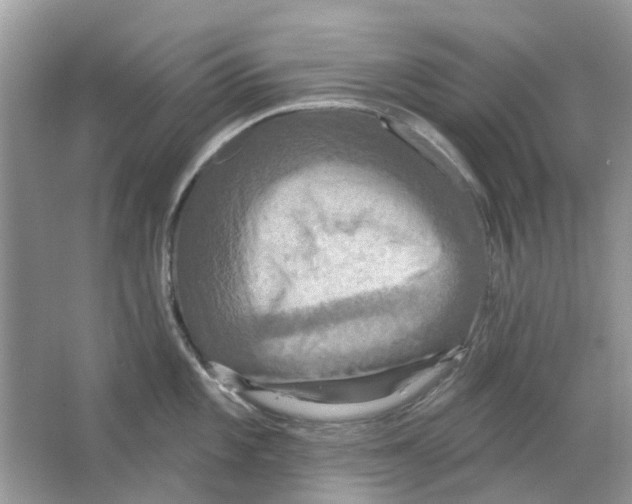 X0000063511101200602172139