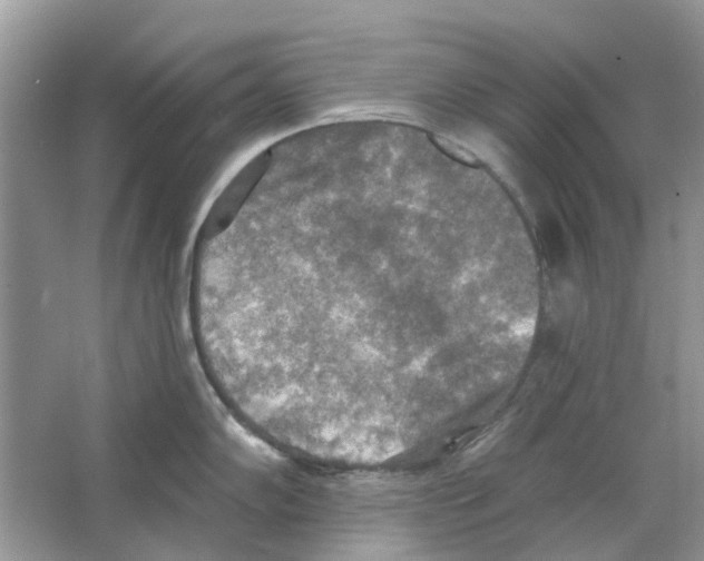 X0000063511102200602172139