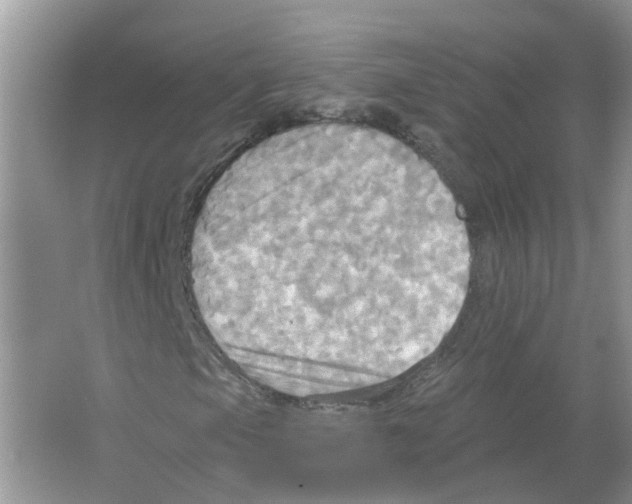 X0000063511105200602172138