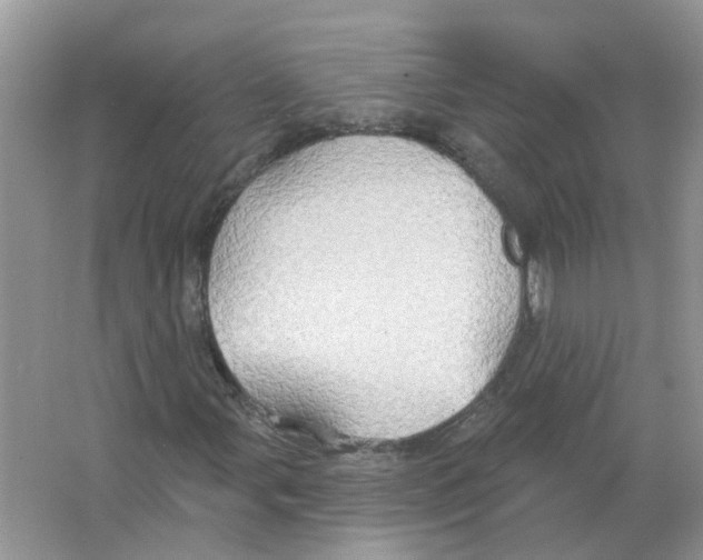 X0000063511107200602172138