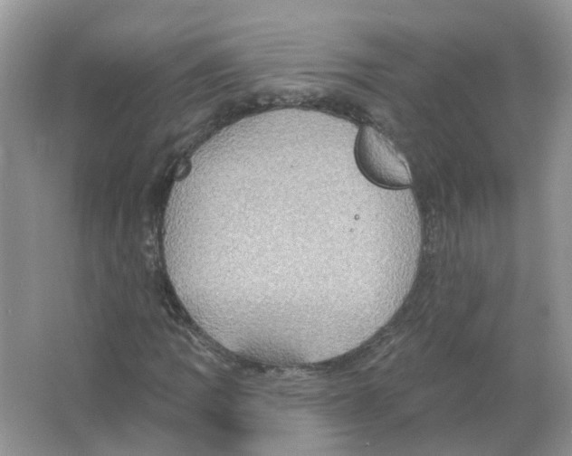 X0000063511109200602172138