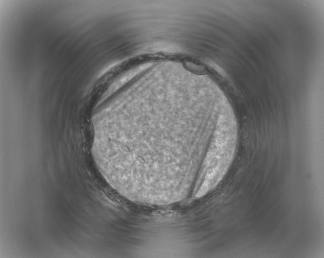 X0000063511112200602172138