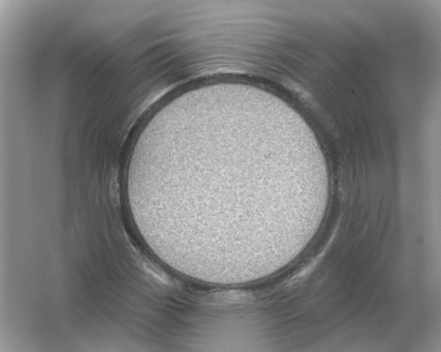 X0000063511113200602172138