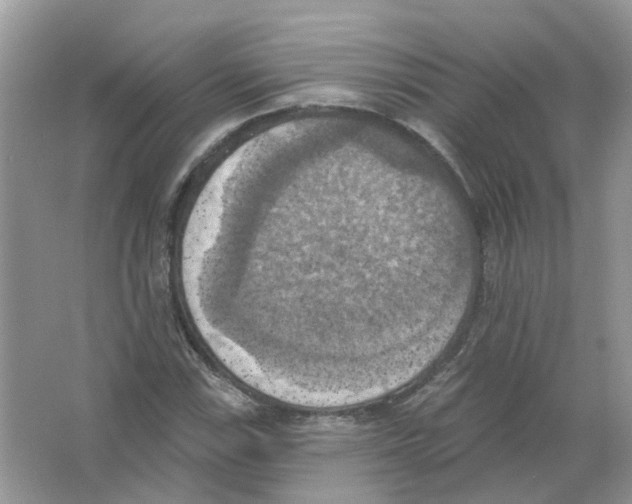 X0000063511115200602172138