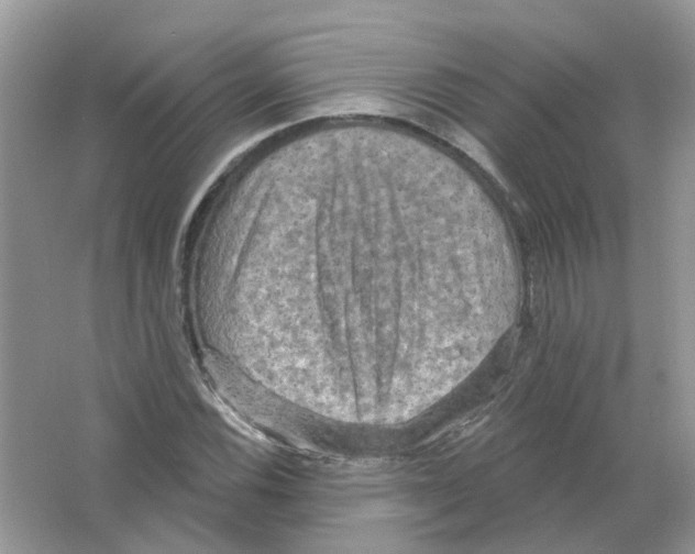 X0000063511116200602172138