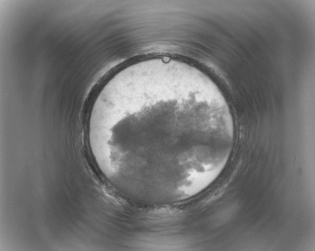 X0000063511117200602172138