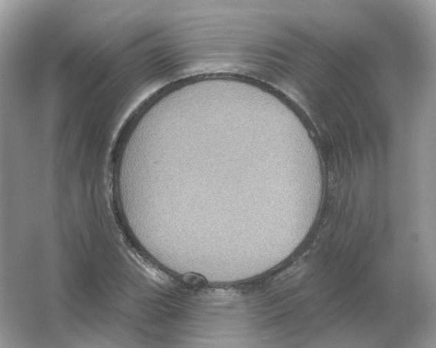 X0000063511119200602172138