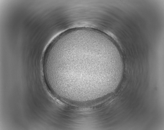 X0000063511120200602172138