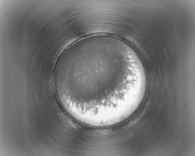 X0000063511121200602172138