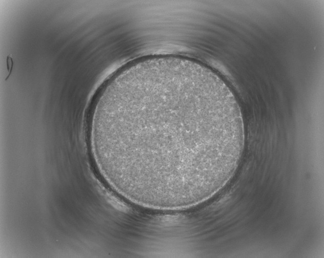 X0000063511122200602172138