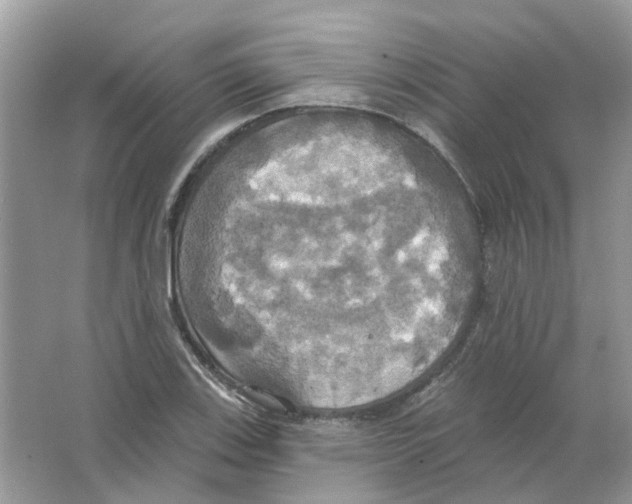 X0000063511123200602172138