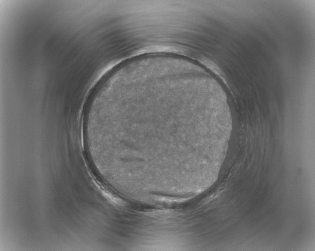 X0000063511127200602172139