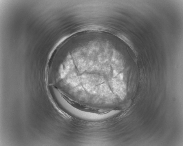 X0000063511128200602172139