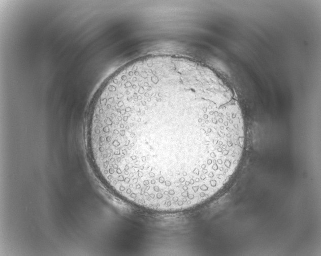 X0000063511130200602172139