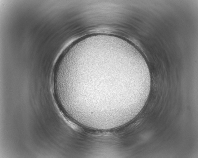 X0000063511131200602172139