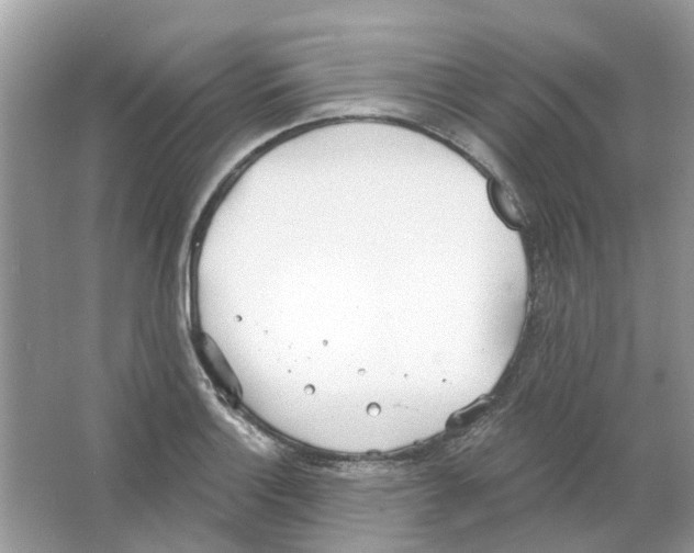 X0000063511132200602172139