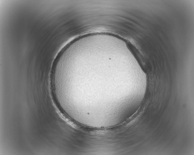 X0000063511134200602172139