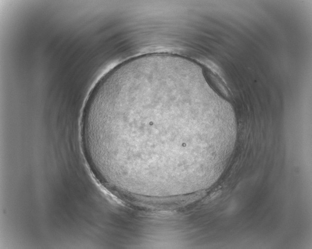 X0000063511135200602172139