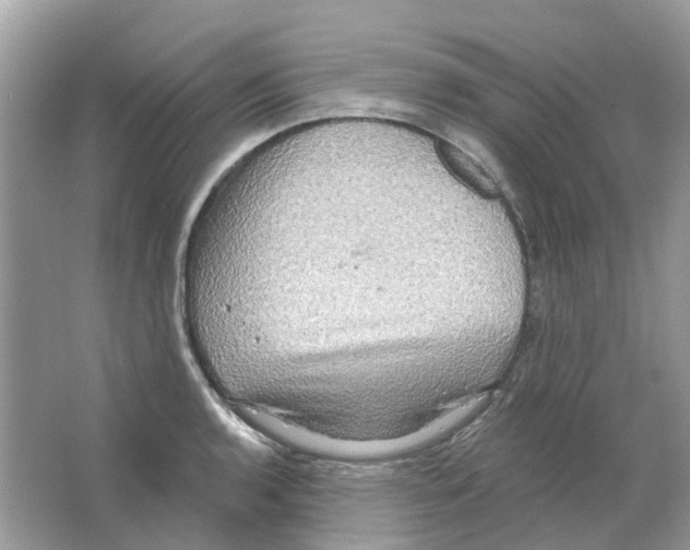 X0000063511136200602172139