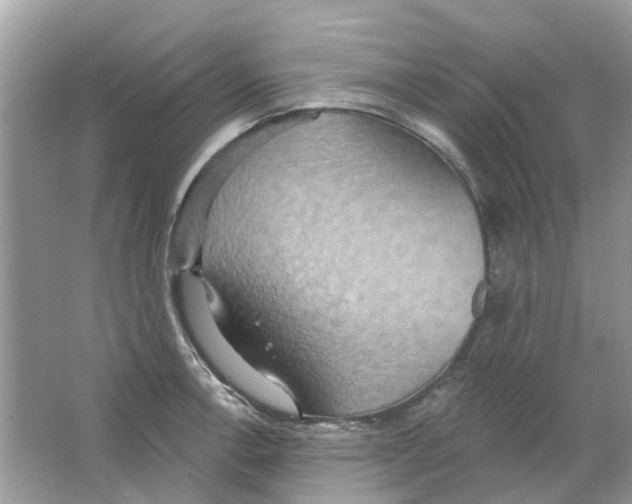 X0000063511138200602172139