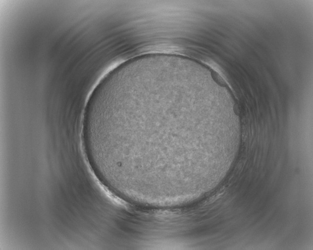 X0000063511139200602172139